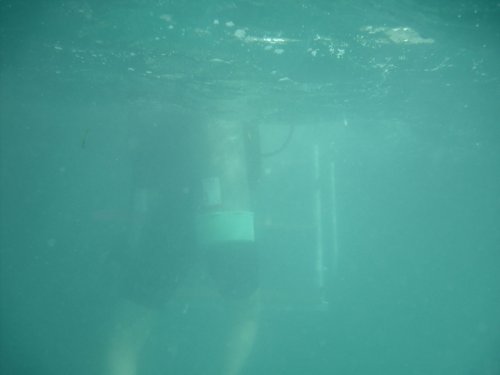 jess climbing onto the dive boat